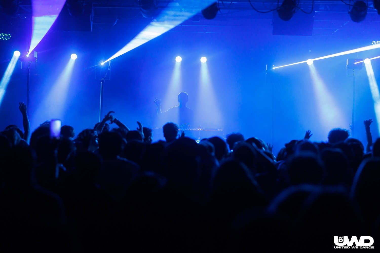 WORMER live photo 2