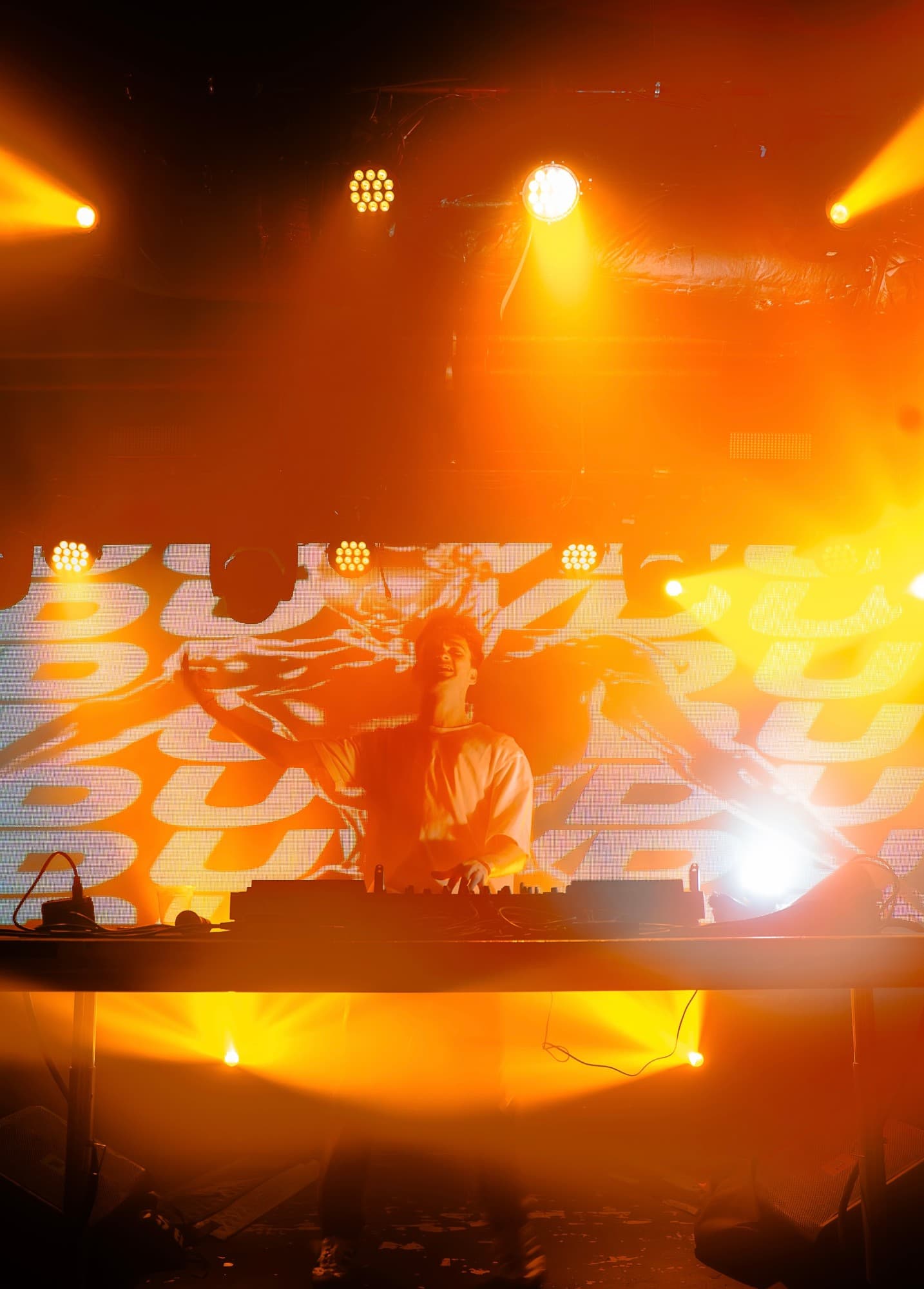 WORMER live photo 4